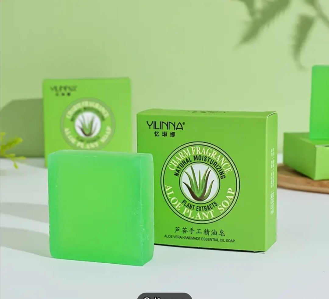 Aloe Plant Soap